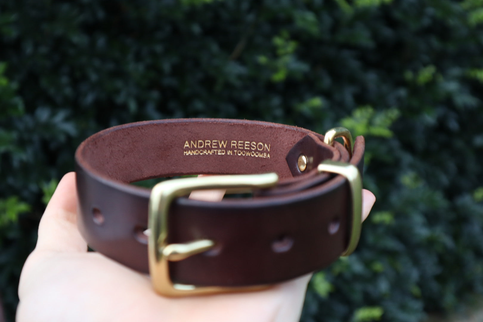 Dog Collar - Brown