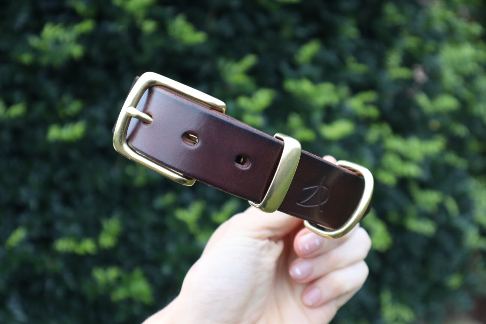 Dog Collar - Brown